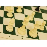 بازی فکری شطرنج دو نفره ترنج