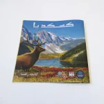 راهنمای بازی کسکدیا